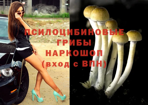 a pvp Зеленокумск