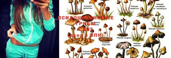 дурь Зерноград