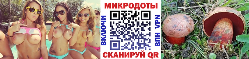 Галлюциногенные грибы Magic Shrooms  Купить где  Кимовск 